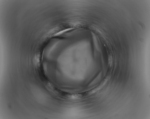 X0000113340670200910060959