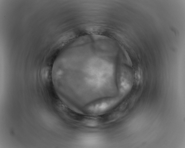 X0000113340671200910060959