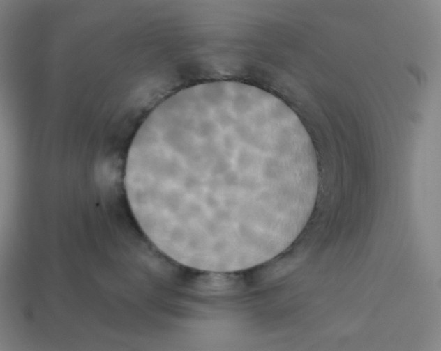 X0000113340672200910060959