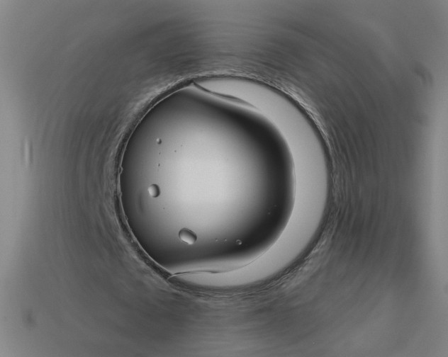 X0000113340673200910060958