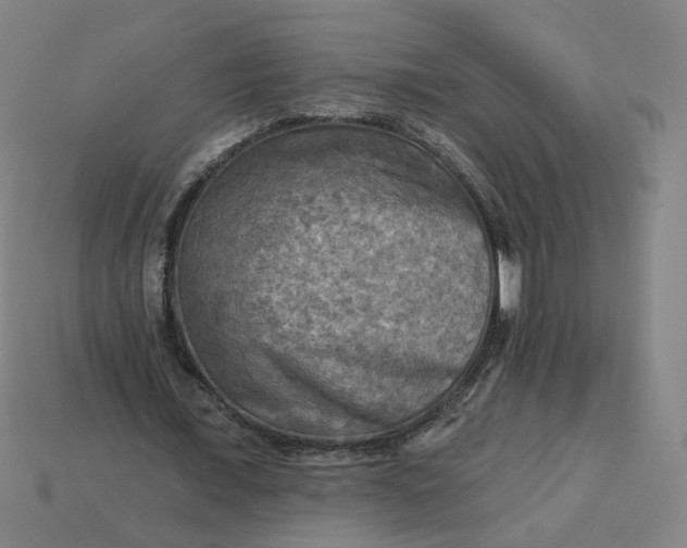 X0000113340675200910060958