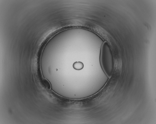 X0000113340676200910060958