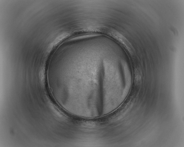 X0000113340677200910060958