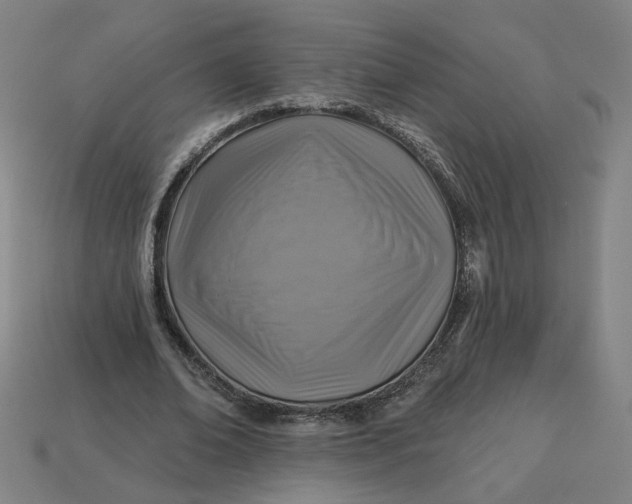 X0000113340678200910060958