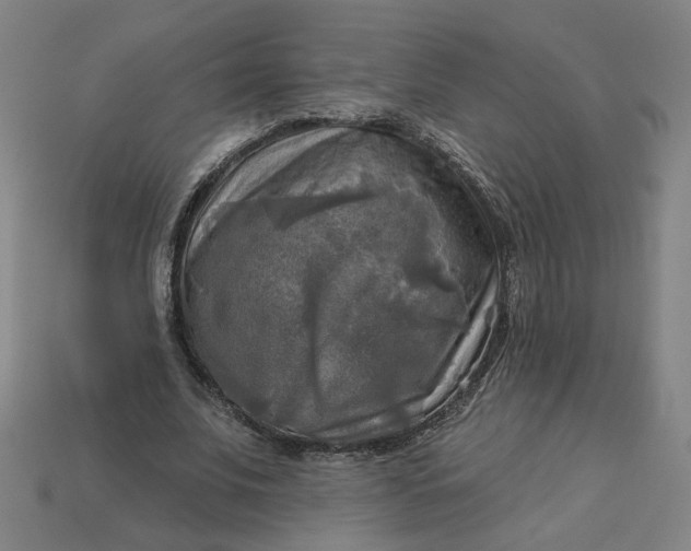 X0000113340679200910060958