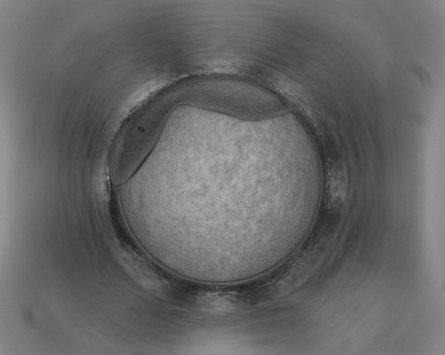 X0000113340680200910060958