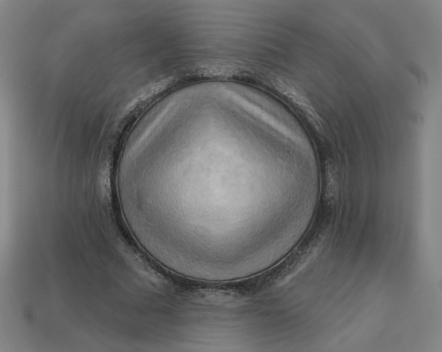 X0000113340681200910060958