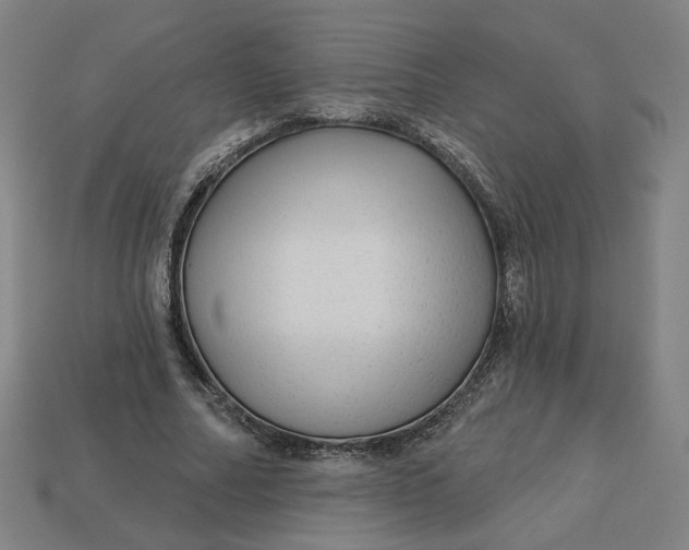 X0000113340682200910060958