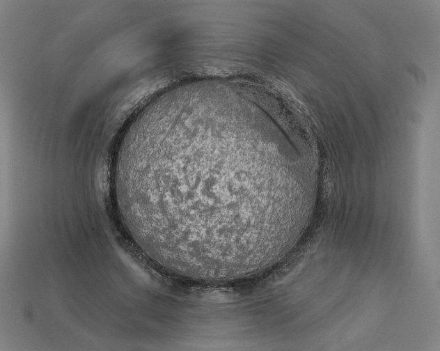 X0000113340683200910060958