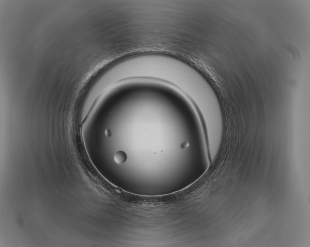 X0000113340684200910060958