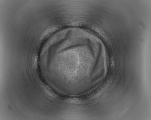 X0000113340685200910060958