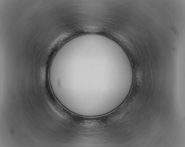 X0000113340686200910060958