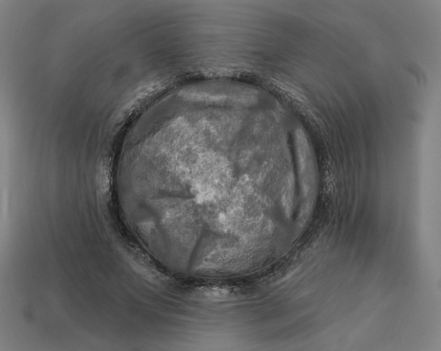 X0000113340687200910060958