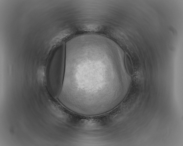 X0000113340688200910060958