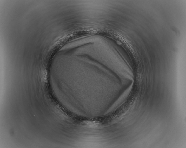 X0000113340689200910060958