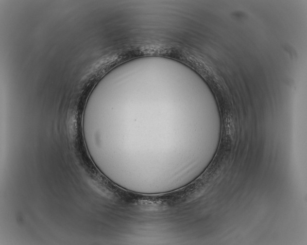 X0000113340690200910060958