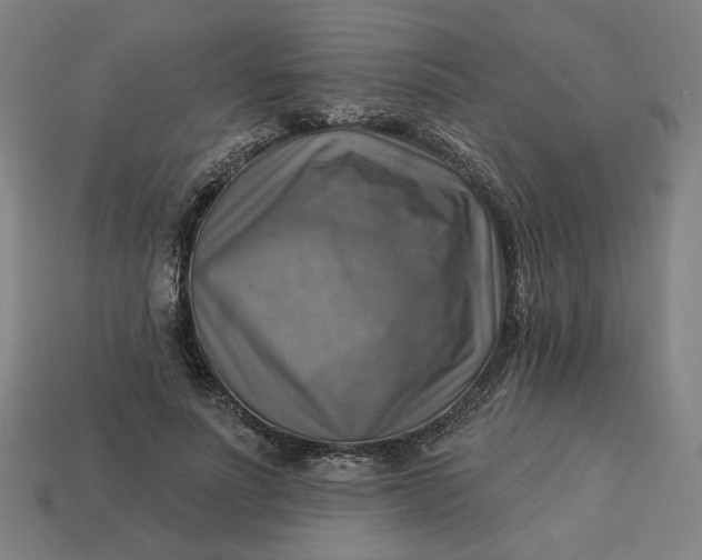 X0000113340691200910060958