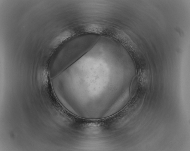 X0000113340692200910060958