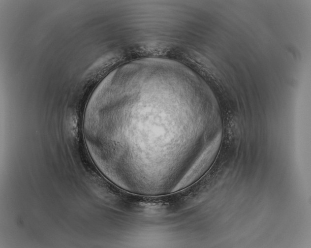 X0000113340693200910060958