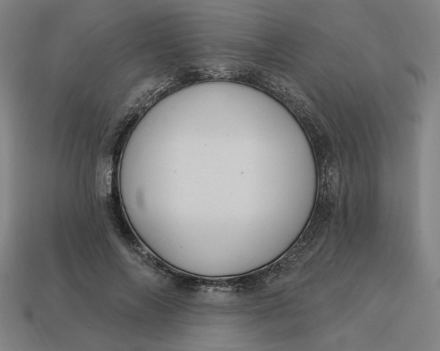 X0000113340694200910060958