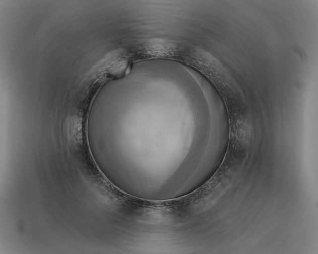 X0000113340696200910060958