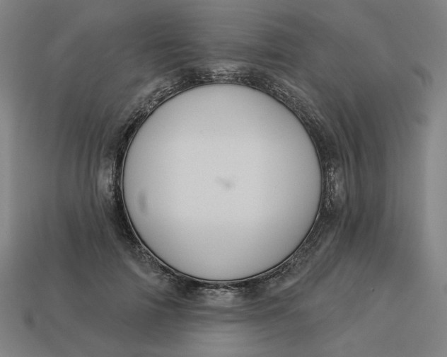 X0000113340698200910060958