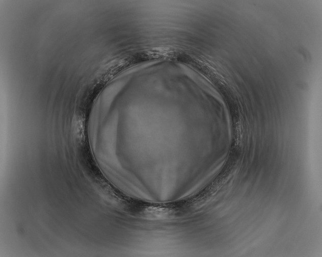 X0000113340699200910060958