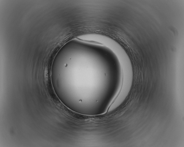 X0000113340700200910060958