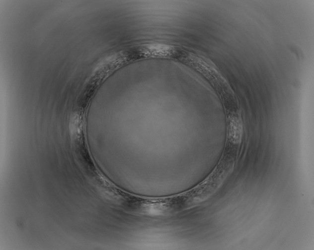 X0000113340701200910060958