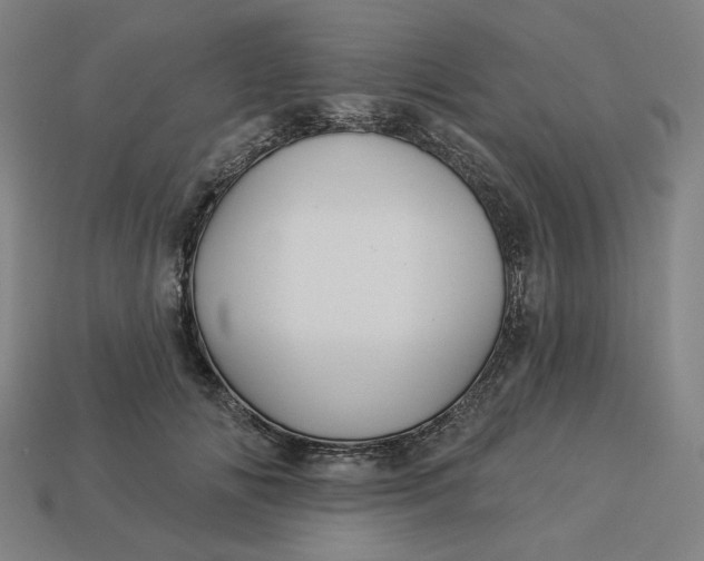 X0000113340702200910060958