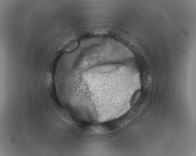 X0000113340704200910060958