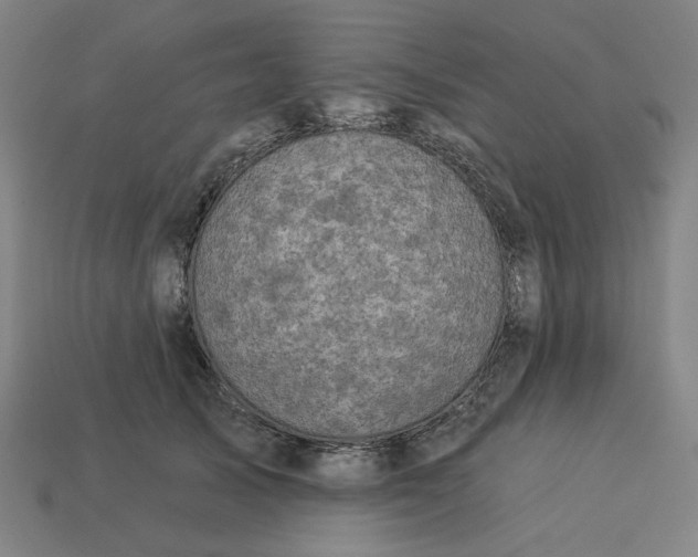 X0000113340705200910060958