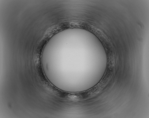 X0000113340706200910060958