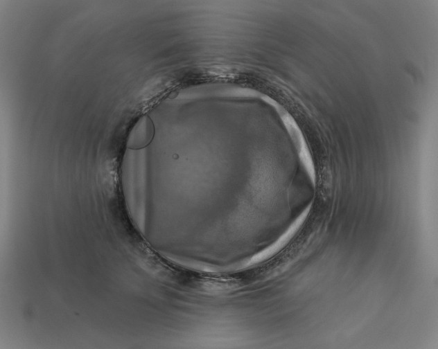 X0000113340707200910060958