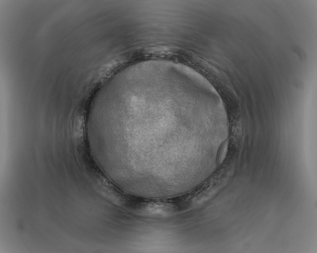 X0000113340708200910060958