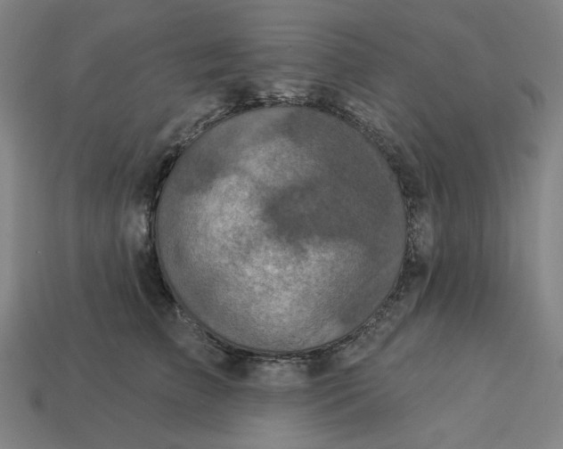 X0000113340709200910060958