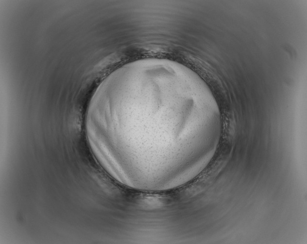 X0000113340710200910060958