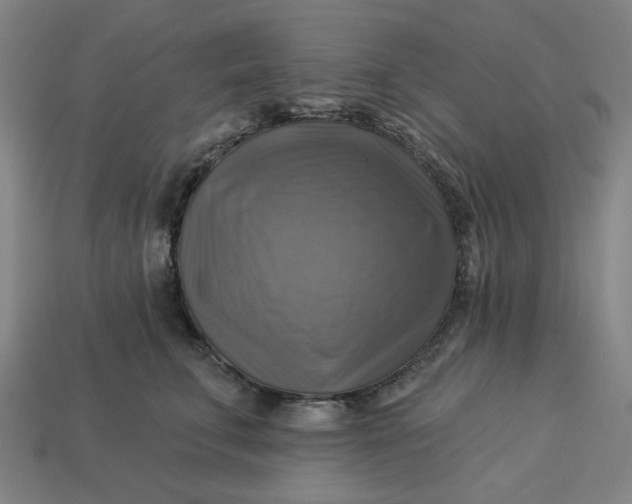 X0000113340711200910060958