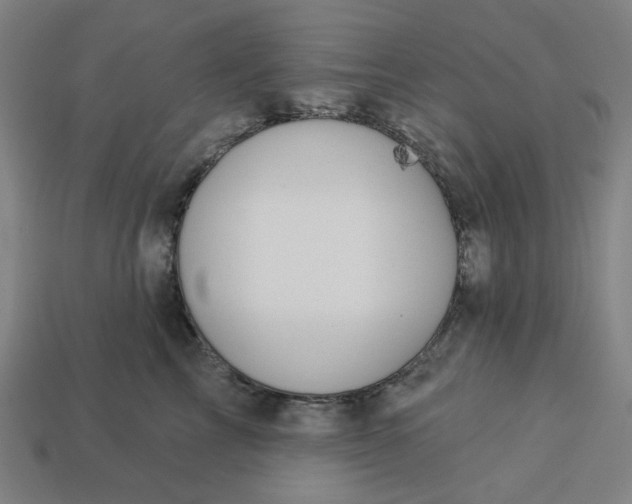 X0000113340713200910060958