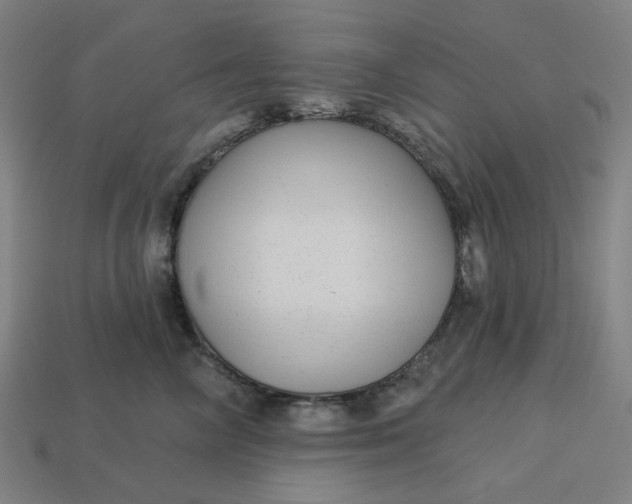 X0000113340714200910060958