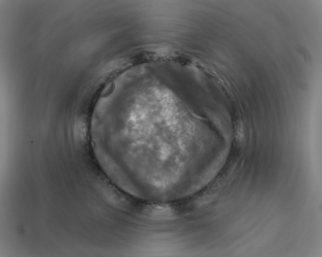 X0000113340715200910060958