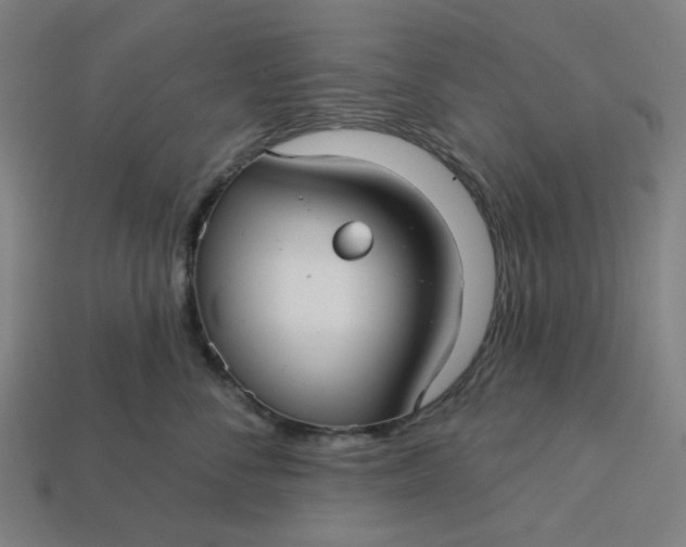 X0000113340716200910060958