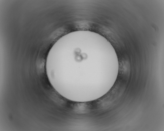 X0000113340717200910060958