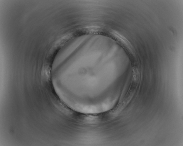 X0000113340718200910060958