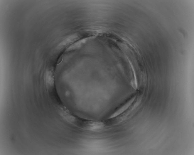 X0000113340719200910060958