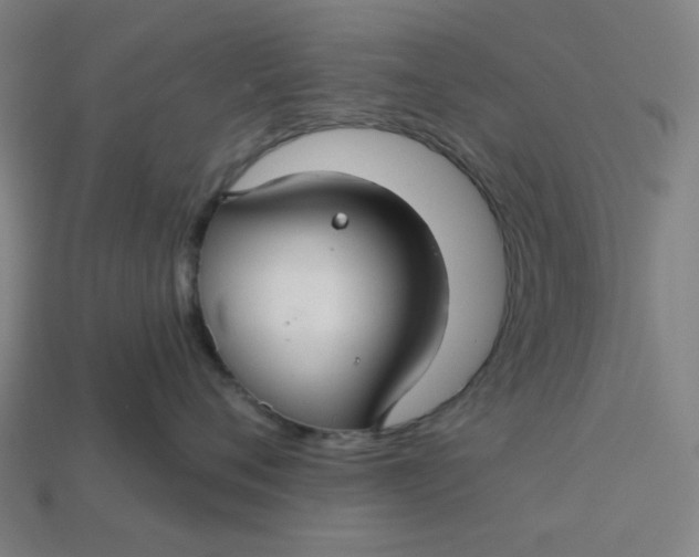 X0000113340720200910060958