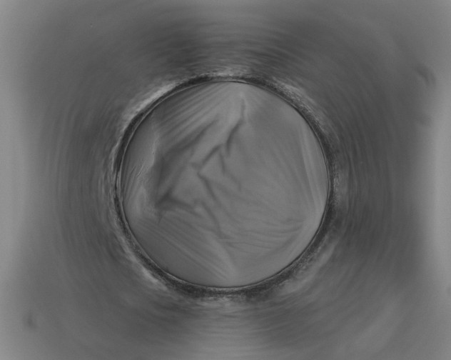 X0000113340721200910060957