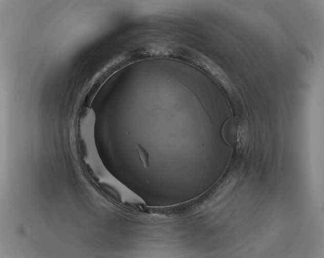 X0000113340722200910060957