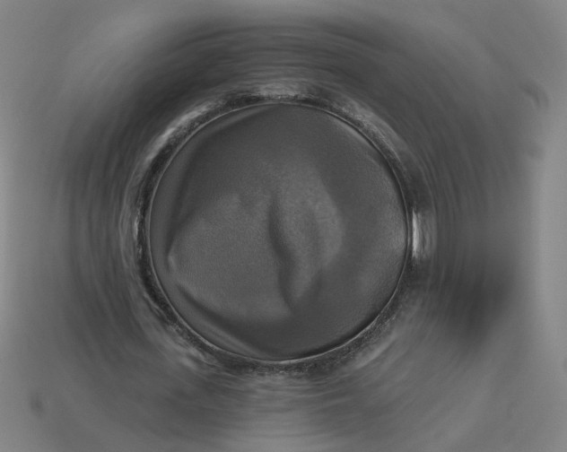 X0000113340723200910060957