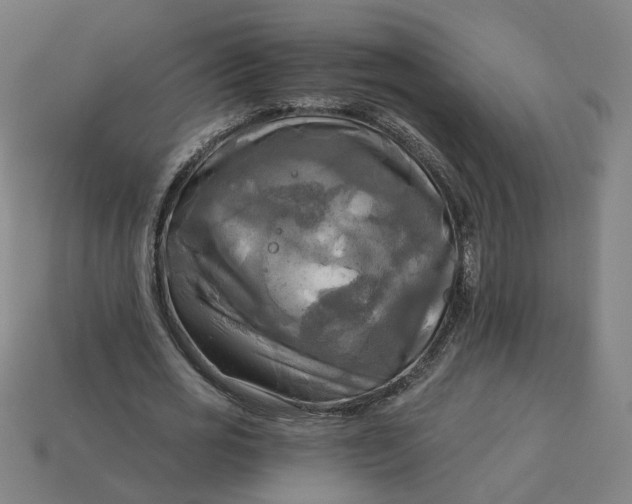 X0000113340725200910060957